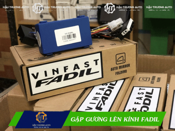 gap-guong-len-xuong-kinh-fadil-1