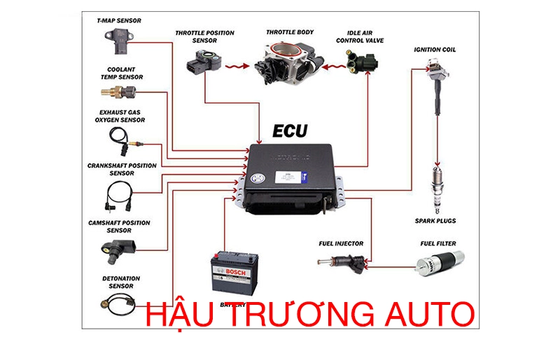 Sơ đồ hệ thống điện ô tô
